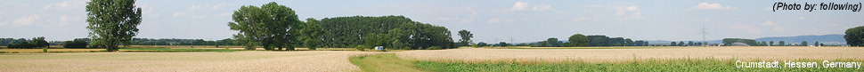 pano970-f01-crumstadt.jpg