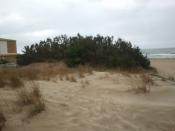 la duna