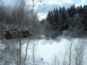 NSG St. Avold im Winter. Der Silbersee ist unter der Schneefläche versteckt.