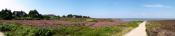 Panorama Braderuper Heide 1 - Auf dem Weg zur Schatzkarte