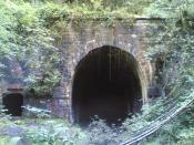 Am Tunnel