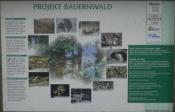 Bauernwald Info