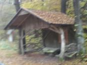 Schutzhütte im Michelsrombacher Wald