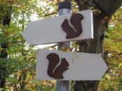 Eichhörnchenweg in Bad Imnau