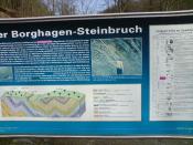 Steinbruch 2