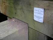 DSCN2157.JPG