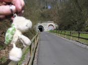 Tunnelzufahrt mit Landschildkroete