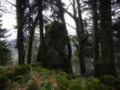 felsen