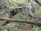 [4] ... über einen Baumstamm und da ist der Cache.