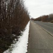 Fuß_Fahrradweg in Richtung Ziel