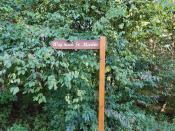 Weg nach St. Martin