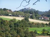 Urwaldsteig - Die Mauer