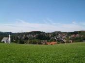 Aussicht auf Rickenbach