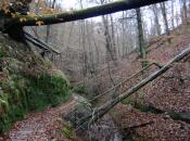 Landgrafenschlucht 3