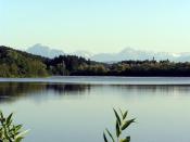 Bachtelsee2