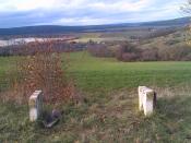 Blick nach N (Herbst 2024)