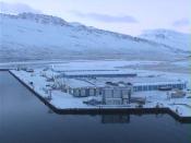 Neskaupstað (webcam)