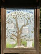 Die Streuobstwiese (Infotafel, leider zerstört)