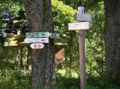 Viele Wege führen zum Ziel