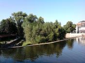 Mühlenteich mit seiner Insel