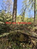 Blick vom Finale aus