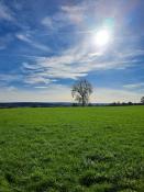 Landschaft