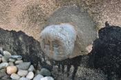 Weiterer Höhenfestpunkt (wikipedia)
