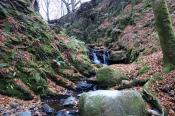 Whistler's Glen