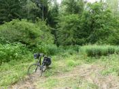 Hinter dem Fahrrad geht der Weg als Pfad weiter (wenn man von Süd kommt)