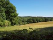 Weiden und malerische Landschaft