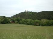 Blick zu Ruine Mödling