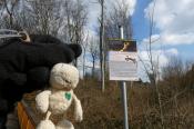 1. Beispiel zu 3: Schild in Coesfeld mit Landschildkroete