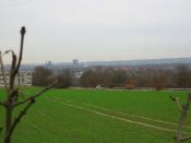 Aussicht vom großen Baum