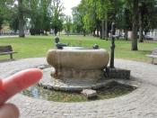 Logbeispielfoto mit Finger