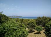 Pampelonne Beach from cache area