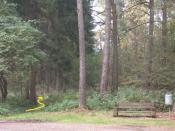[1] Ein Pfad führt links neben der Bank in den Wald.