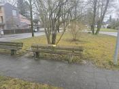 (21) Ratschbankerl Pasing 