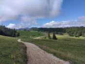 Der Weg hoch