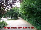 Weg zum Ziel Morsen