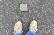 Stolperstein Dürhager Logfoto