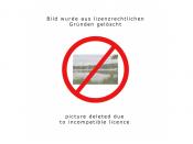 Hier geht es los...