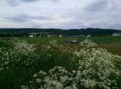 Hasselbacher Skyline