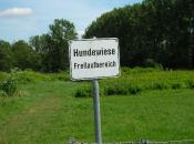 Auch was für die Hundis