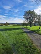 Landschaft 2