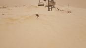 saharasand_in_warth_2