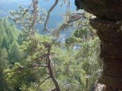 View from Cache Location