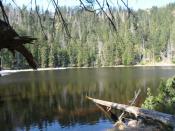 Wildsee unten