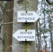 Sentier botanique