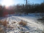 Weiher im Winter