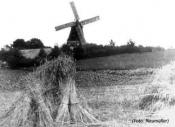 Fleestedter Mühle Foto 1935